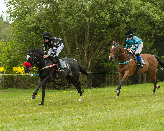 Pony Race - 3 - Open 148cm-13