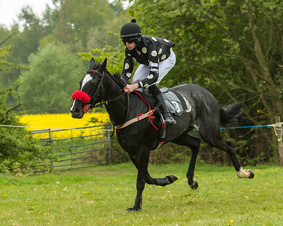 Pony Race - 3 - Open 148cm-14