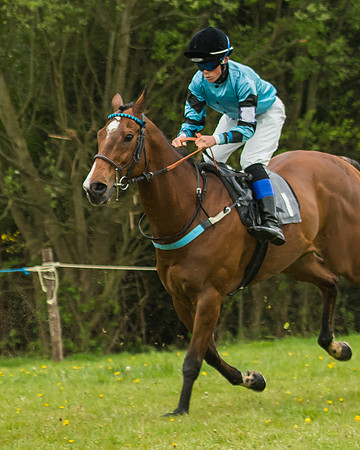 Pony Race - 3 - Open 148cm-14-2