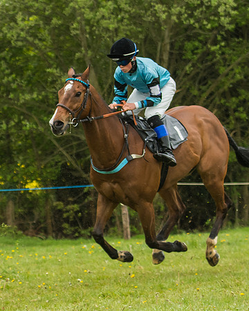 Pony Race - 3 - Open 148cm-15