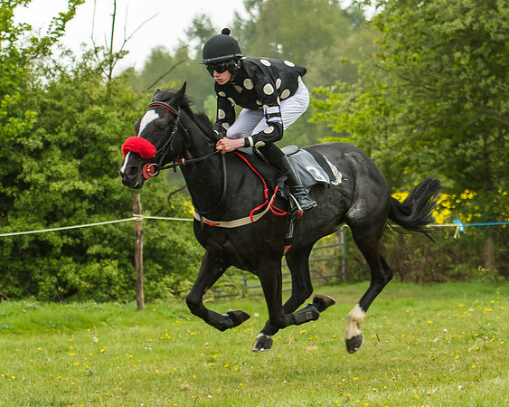 Pony Race - 3 - Open 148cm-15-2
