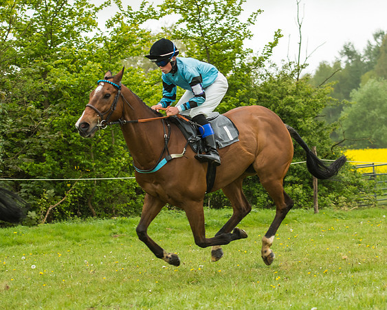 Pony Race - 3 - Open 148cm-16