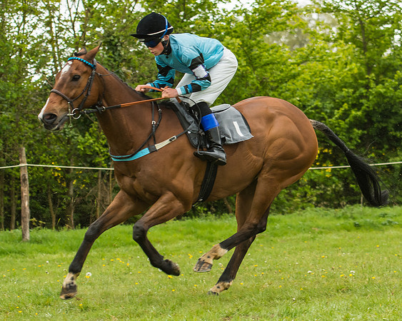 Pony Race - 3 - Open 148cm-17