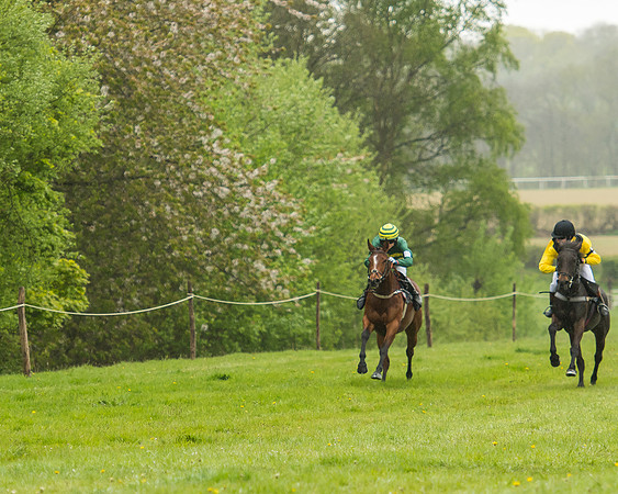 Pony Race - 3 - Open 148cm-18