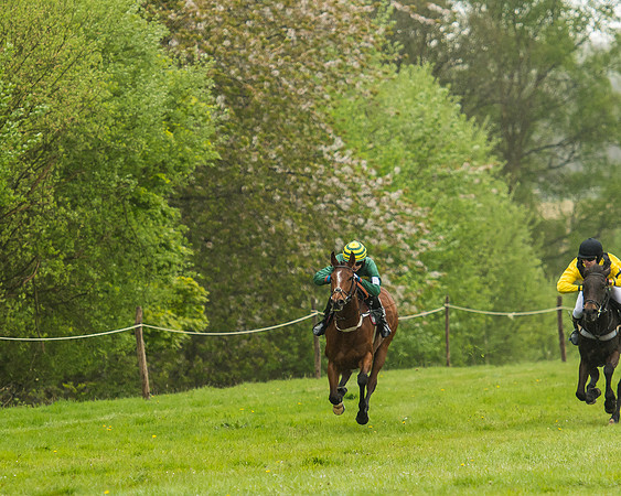 Pony Race - 3 - Open 148cm-21