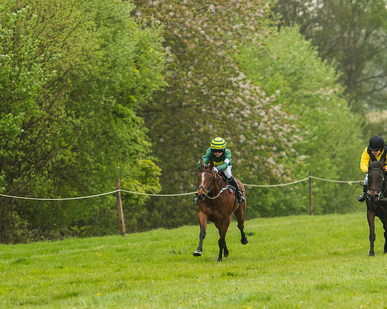 Pony Race - 3 - Open 148cm-23