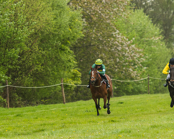 Pony Race - 3 - Open 148cm-24