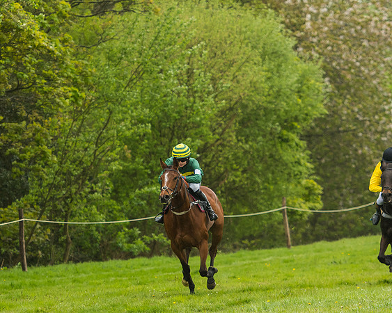 Pony Race - 3 - Open 148cm-25