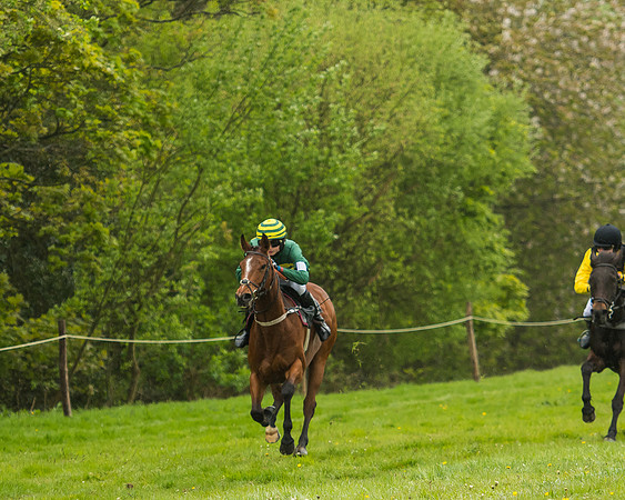 Pony Race - 3 - Open 148cm-26