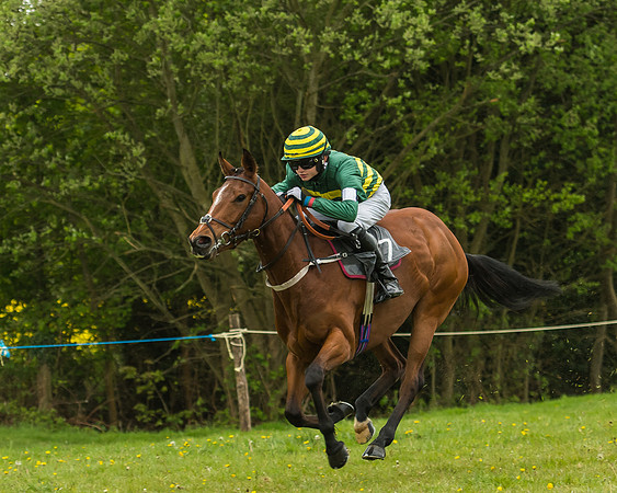Pony Race - 3 - Open 148cm-28