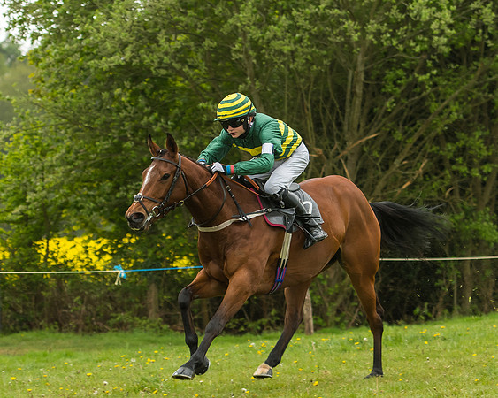 Pony Race - 3 - Open 148cm-29