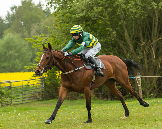 Pony Race - 3 - Open 148cm-30
