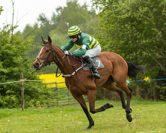 Pony Race - 3 - Open 148cm-31