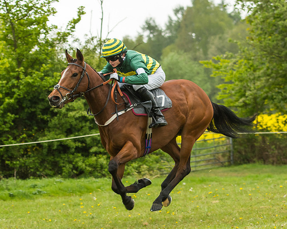 Pony Race - 3 - Open 148cm-32
