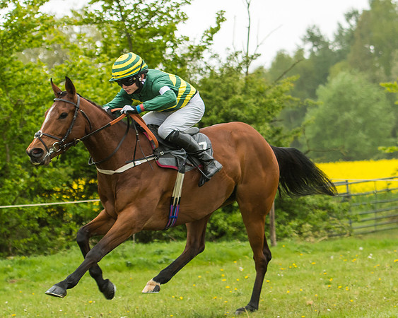 Pony Race - 3 - Open 148cm-33