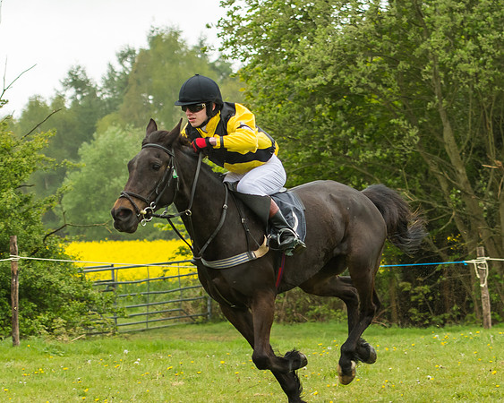 Pony Race - 3 - Open 148cm-35