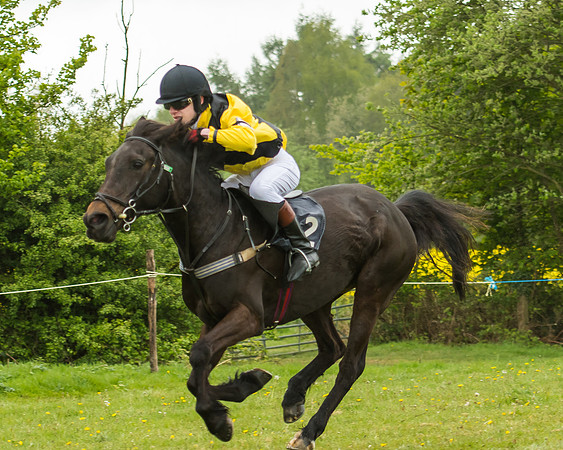 Pony Race - 3 - Open 148cm-36