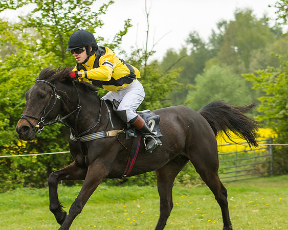 Pony Race - 3 - Open 148cm-37