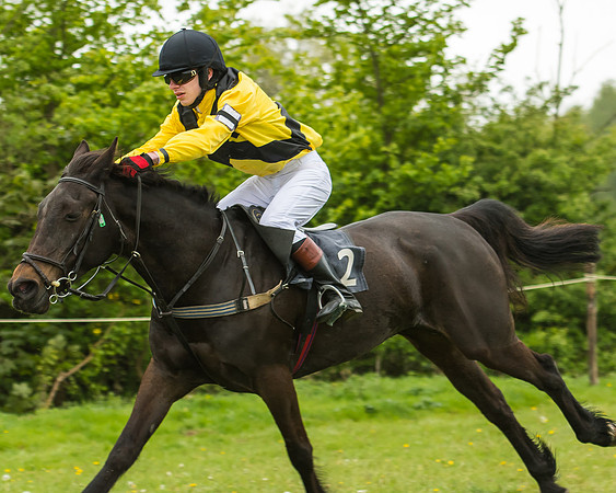 Pony Race - 3 - Open 148cm-38