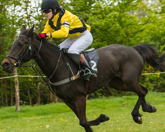 Pony Race - 3 - Open 148cm-39