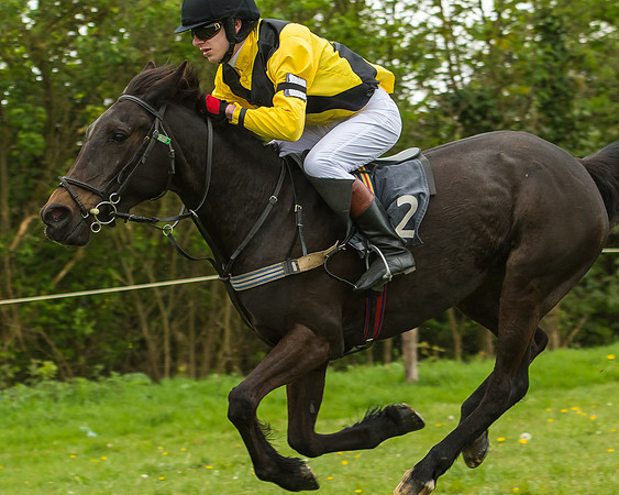 Pony Race - 3 - Open 148cm-40