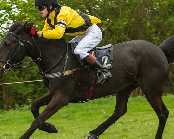 Pony Race - 3 - Open 148cm-41