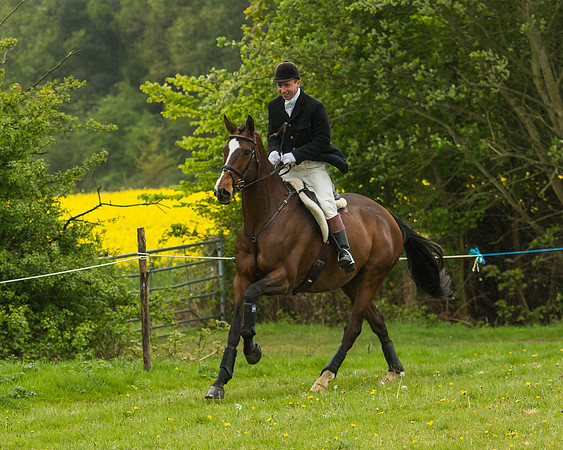 Pony Race - 3 - Open 148cm-46