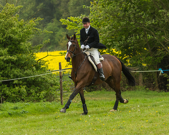 Pony Race - 3 - Open 148cm-47