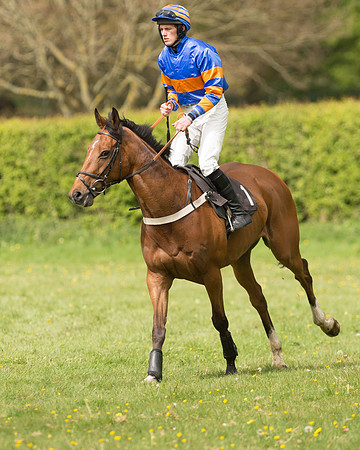 Race 1 - Open Maiden-4