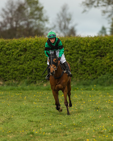 Race 1 - Open Maiden-14