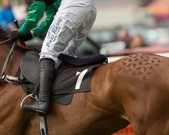 Race 1 - Open Maiden-21