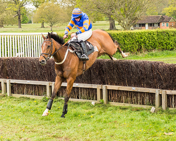 Race 1 - Open Maiden-63