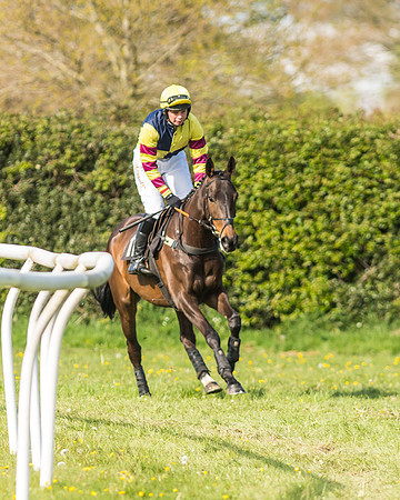 Race 5 - Restricted Race-1