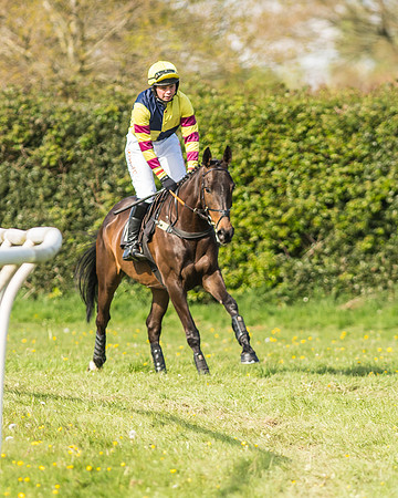 Race 5 - Restricted Race-2