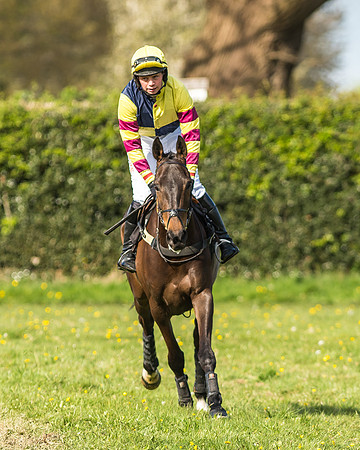 Race 5 - Restricted Race-3