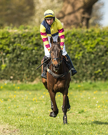 Race 5 - Restricted Race-4