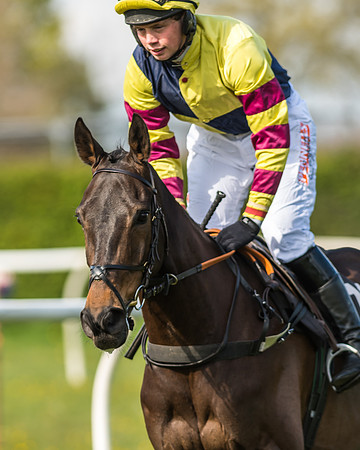 Race 5 - Restricted Race-8