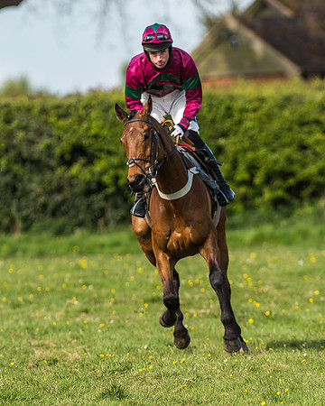 Race 5 - Restricted Race-10