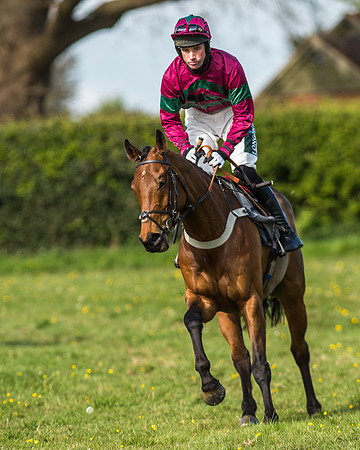 Race 5 - Restricted Race-11