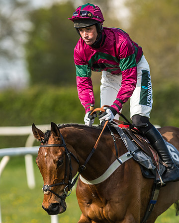 Race 5 - Restricted Race-14