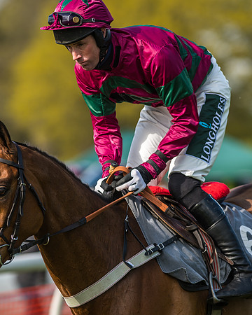 Race 5 - Restricted Race-15