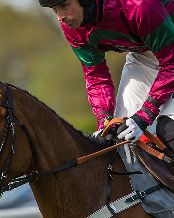 Race 5 - Restricted Race-16