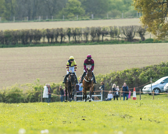 Race 5 - Restricted Race-17