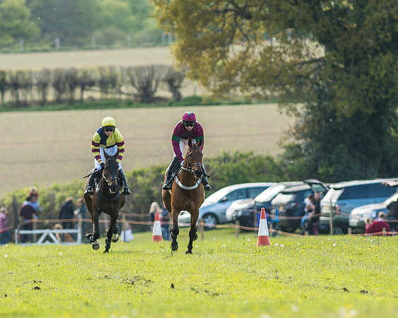 Race 5 - Restricted Race-19