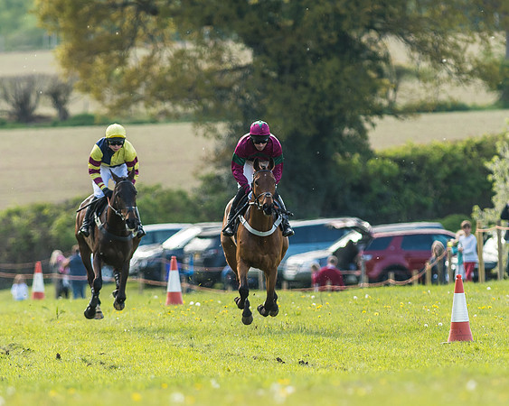 Race 5 - Restricted Race-21