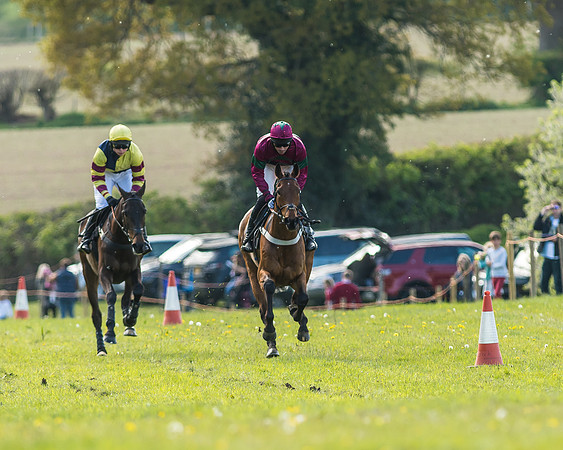 Race 5 - Restricted Race-22