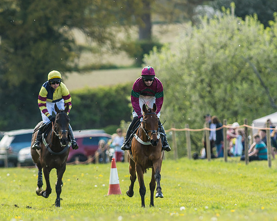 Race 5 - Restricted Race-23