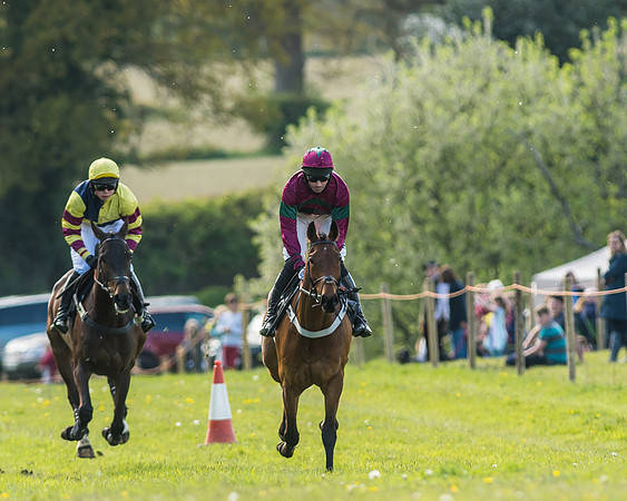 Race 5 - Restricted Race-24