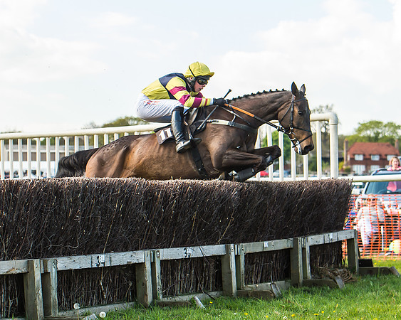 Race 5 - Restricted Race-28