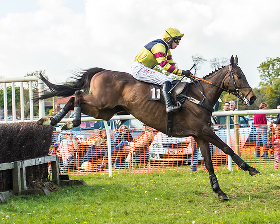 Race 5 - Restricted Race-31